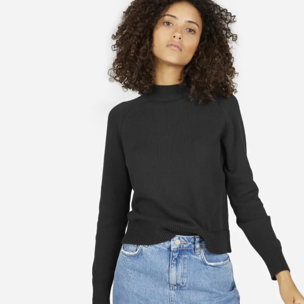 Everlane Cotton Mock Neck Crop Sweater